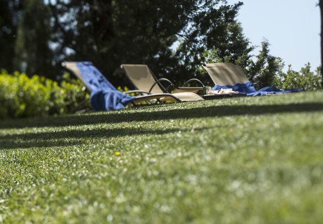 Appartamento a Panzano - Valletta Uva Appartamento a Panzano - Valletta Uva