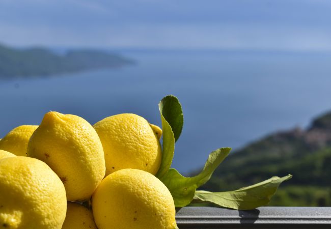 Appartamento a Tignale - Borgo le Vigne, La Vinaccia  con colazione e centro wellness - ONLY ADULTS Appartamento a Tignale - Borgo le Vigne, La Vinaccia  con colazione e centro wellness - ONLY ADULTS