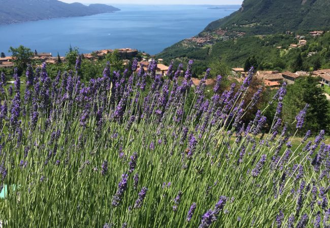 Appartamento a Tignale - Borgo le Vigne, La Vinaccia  con colazione e centro wellness - ONLY ADULTS Appartamento a Tignale - Borgo le Vigne, La Vinaccia  con colazione e centro wellness - ONLY ADULTS