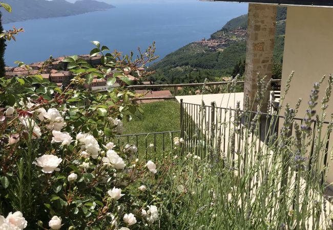 Appartamento a Tignale - Borgo le Vigne, L'Acqua vite con colazione e centro wellness - ONLY ADULTS Appartamento a Tignale - Borgo le Vigne, L'Acqua vite con colazione e centro wellness - ONLY ADULTS