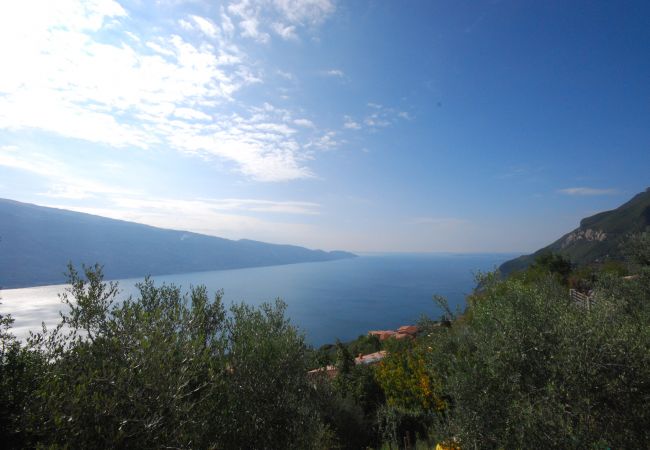 Appartamento a Tignale - Il Fiore - Theater Home, con stupenda vista lago. Appartamento a Tignale - Il Fiore - Theater Home, con stupenda vista lago.