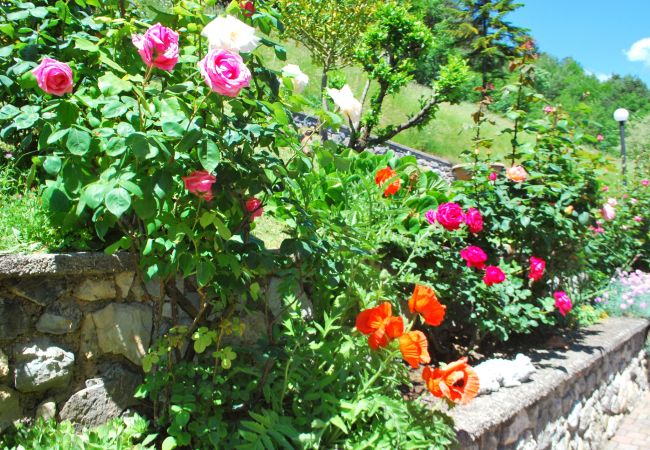 Appartamento a Tignale - Rustico Massimo - Theater Home, con vista panoramica Appartamento a Tignale - Rustico Massimo - Theater Home, con vista panoramica