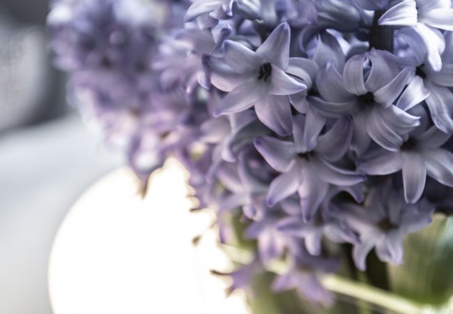 Appartamento a Venezia - Charming Apartment on the Grand Canal R&R Appartamento a Venezia - Charming Apartment on the Grand Canal R&R