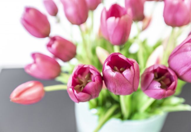 Appartamento a Venezia - Charming Apartment on the Grand Canal R&R Appartamento a Venezia - Charming Apartment on the Grand Canal R&R