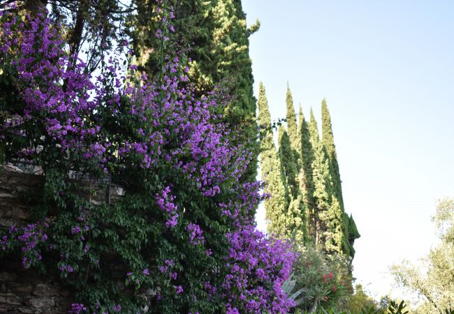 Appartamento a Toscolano-Maderno - Marierose by Theater Home, direttamente a lago  Appartamento a Toscolano-Maderno - Marierose by Theater Home, direttamente a lago