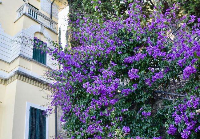 Appartamento a Toscolano-Maderno - Marierose by Theater Home, direttamente a lago  Appartamento a Toscolano-Maderno - Marierose by Theater Home, direttamente a lago