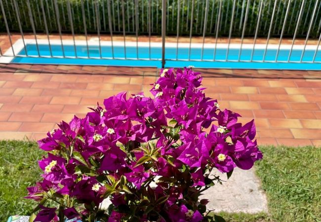 Appartamento a Tignale - Flair - Theater Home, con piscina e stupenda vista lago Appartamento a Tignale - Flair - Theater Home, con piscina e stupenda vista lago