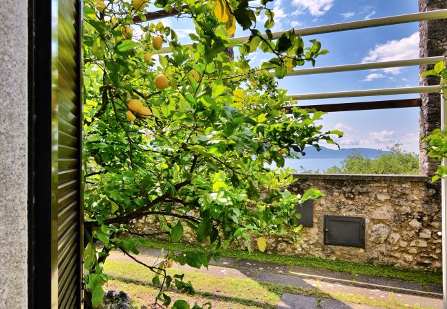 Appartamento a Gargnano - L'Antica Limonaia by Theater Home - con vista lago fantastica e piscina privata Appartamento a Gargnano - L'Antica Limonaia by Theater Home - con vista lago fantastica e piscina privata