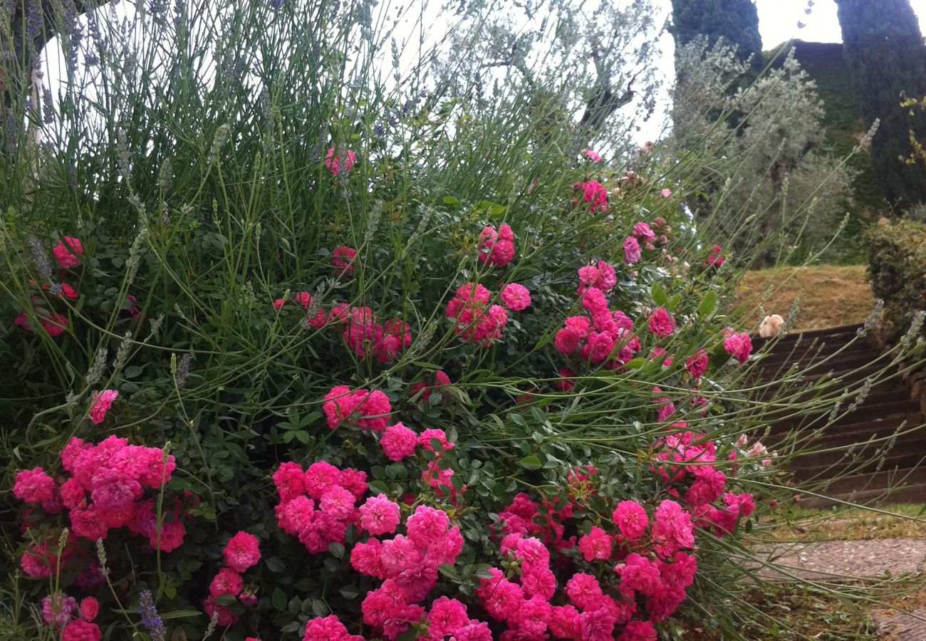 Ferienwohnung in Monte San Savino - Villa Ceppeto Fienile Ferienwohnung in Monte San Savino - Villa Ceppeto Fienile