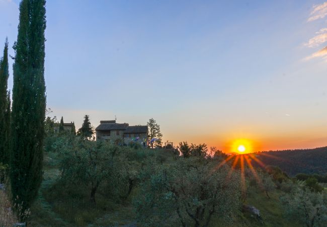 Chalet in Castellina in Chianti - Il Villino della Rocca Chalet in Castellina in Chianti - Il Villino della Rocca