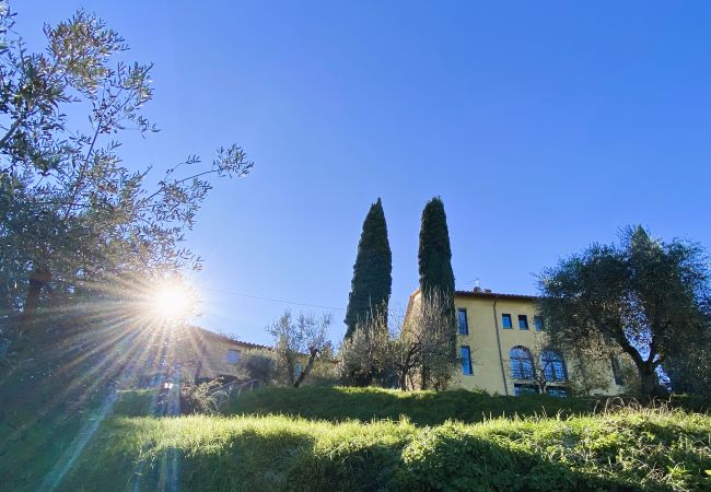 Villa in Monte San Savino - Villa Ceppeto Nest & Arches w/Tesla Station Villa in Monte San Savino - Villa Ceppeto Nest & Arches w/Tesla Station