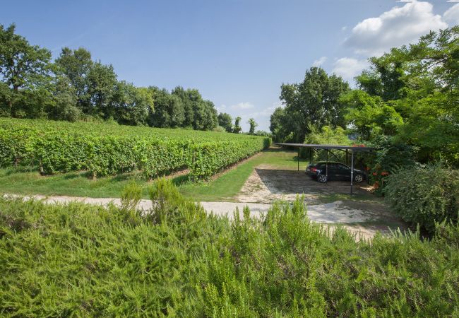 Villa in Lazise - Villa Gasco - Neue Villa mit privatem Pool und Garten im Hinterland von Lazise. Geeignet für 7 Personen Villa in Lazise - Villa Gasco - Neue Villa mit privatem Pool und Garten im Hinterland von Lazise. Geeignet für 7 Personen