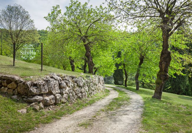 Villa in Castelgomberto - Giardino di Sibilla - Liebevoll rennovierter Bauernhof mit Pool auf den Hügeln bei Vicenza mit zwei Wohnungen für insgesamt 15 Personen. Villa in Castelgomberto - Giardino di Sibilla - Liebevoll rennovierter Bauernhof mit Pool auf den Hügeln bei Vicenza mit zwei Wohnungen für insgesamt 15 Personen.