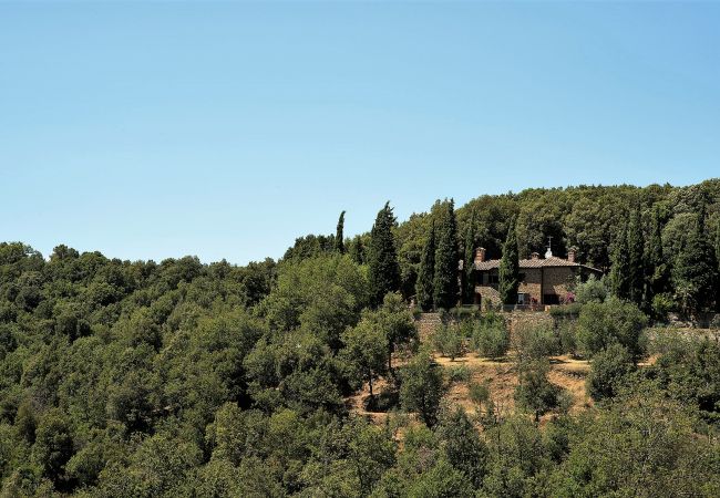 Villa in Civitella in Val di Chiana - Villa Vicinano Villa in Civitella in Val di Chiana - Villa Vicinano