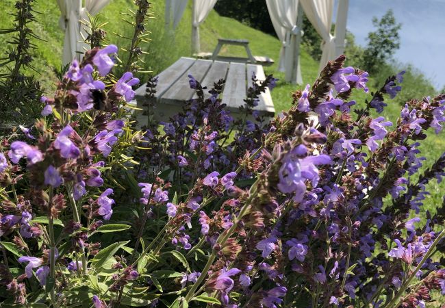 Ferienwohnung in Tignale - Borgo le Vigne, Il Mosto mit Frühstück und Wellnesscenter - ONLY ADULTS Ferienwohnung in Tignale - Borgo le Vigne, Il Mosto mit Frühstück und Wellnesscenter - ONLY ADULTS