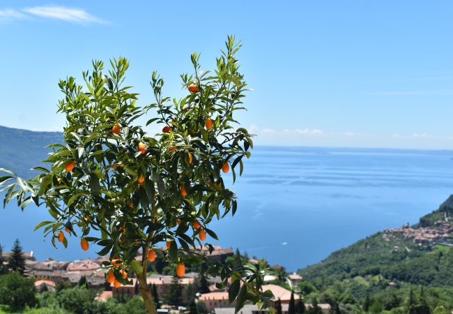 Ferienwohnung in Tignale - Borgo le Vigne, L'Uva rara  mit Frühstück und Wellnesscenter - ONLY ADULTS Ferienwohnung in Tignale - Borgo le Vigne, L'Uva rara  mit Frühstück und Wellnesscenter - ONLY ADULTS