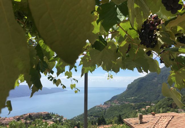 Ferienwohnung in Tignale - Borgo le Vigne, L'Uva rara  mit Frühstück und Wellnesscenter - ONLY ADULTS Ferienwohnung in Tignale - Borgo le Vigne, L'Uva rara  mit Frühstück und Wellnesscenter - ONLY ADULTS