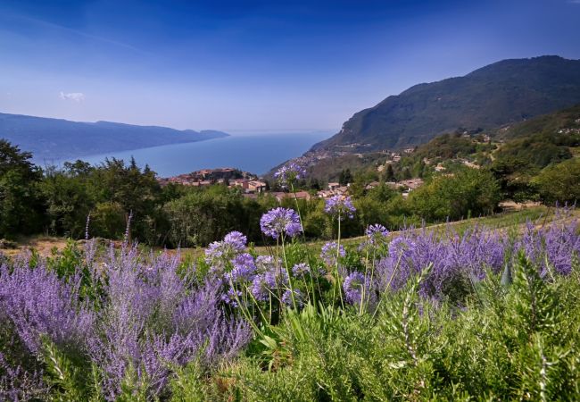 Ferienwohnung in Tignale - Borgo le Vigne, L'Uva rara  mit Frühstück und Wellnesscenter - ONLY ADULTS Ferienwohnung in Tignale - Borgo le Vigne, L'Uva rara  mit Frühstück und Wellnesscenter - ONLY ADULTS