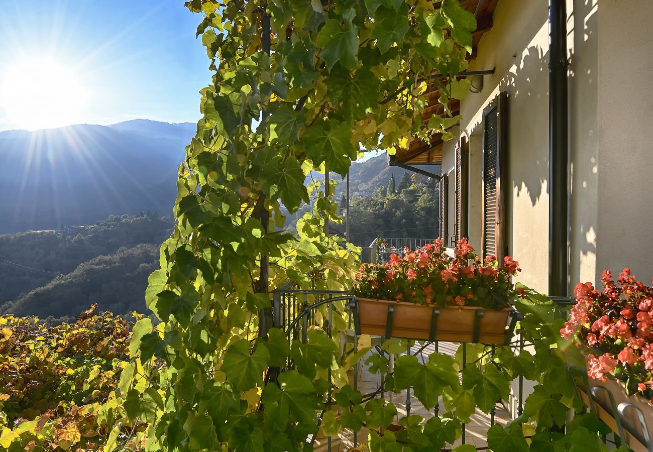 Ferienwohnung in Tignale - Villa Ornella - La Terrazza Theater Home, im historischem Zentrum mit wunderschönem Seeblick Ferienwohnung in Tignale - Villa Ornella - La Terrazza Theater Home, im historischem Zentrum mit wunderschönem Seeblick