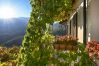 Ferienwohnung in Tignale - Villa Ornella - La Terrazza Theater Home, im historischem Zentrum mit wunderschönem Seeblick Ferienwohnung in Tignale - Villa Ornella - La Terrazza Theater Home, im historischem Zentrum mit wunderschönem Seeblick