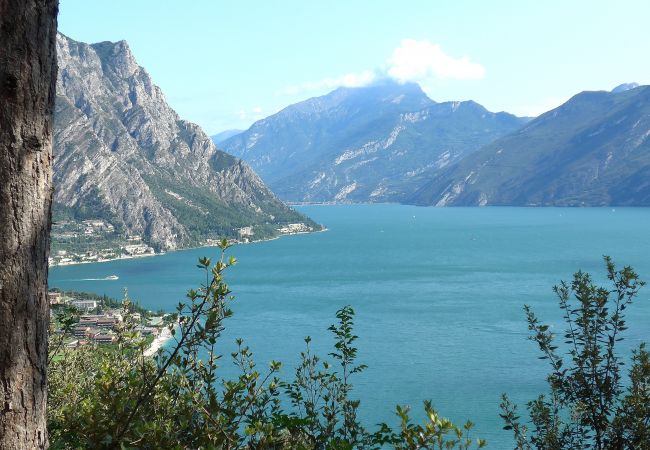 Villa in Limone sul Garda - Villa Abetaia Villa in Limone sul Garda - Villa Abetaia
