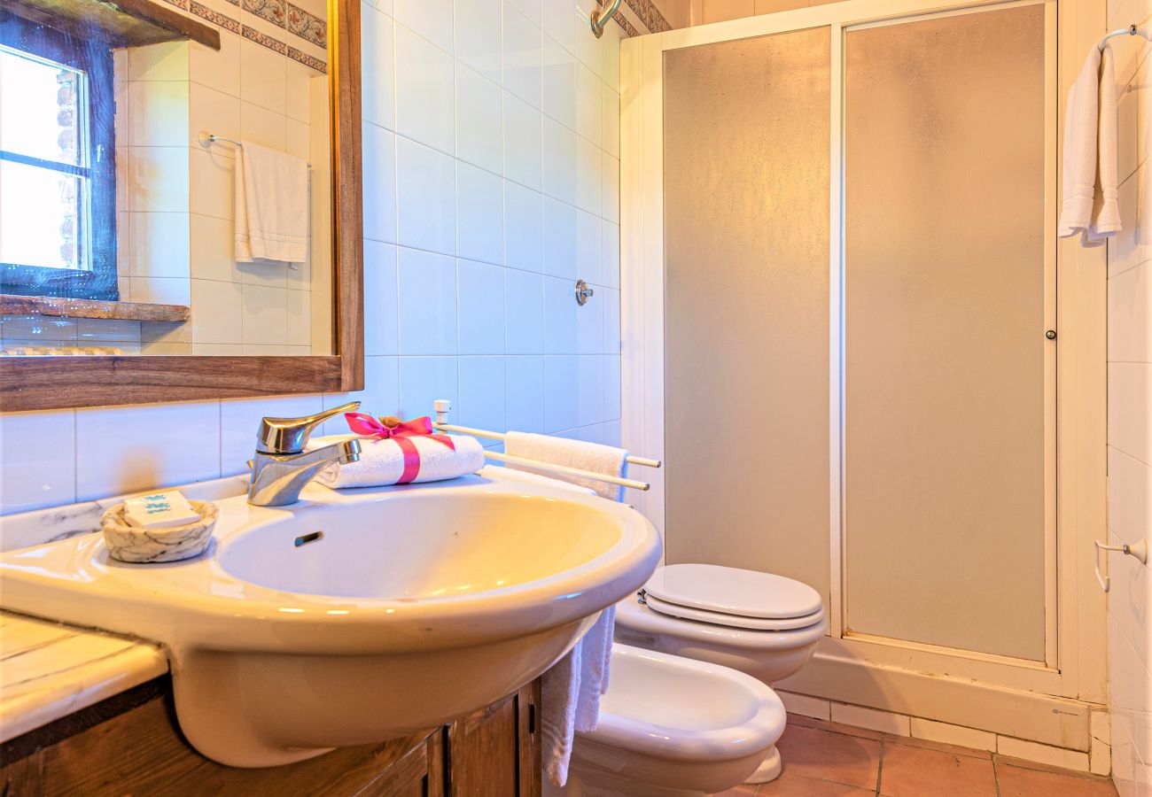 Apartment in Bucine - Villa Marioli Frantoio Apartment in Bucine - Villa Marioli Frantoio