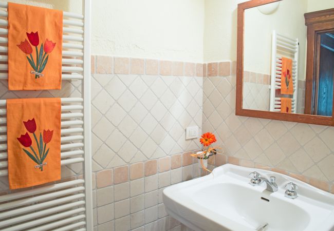 Apartment in Cinigiano - Villa Pozzuolo  Antico Apartment in Cinigiano - Villa Pozzuolo  Antico