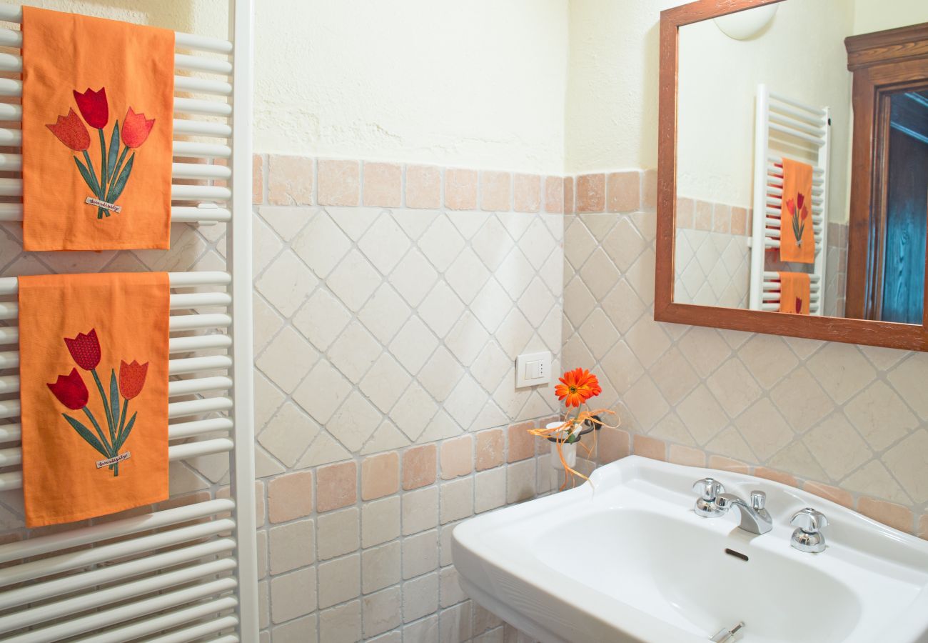 Apartment in Cinigiano - Villa Pozzuolo  Antico Apartment in Cinigiano - Villa Pozzuolo  Antico