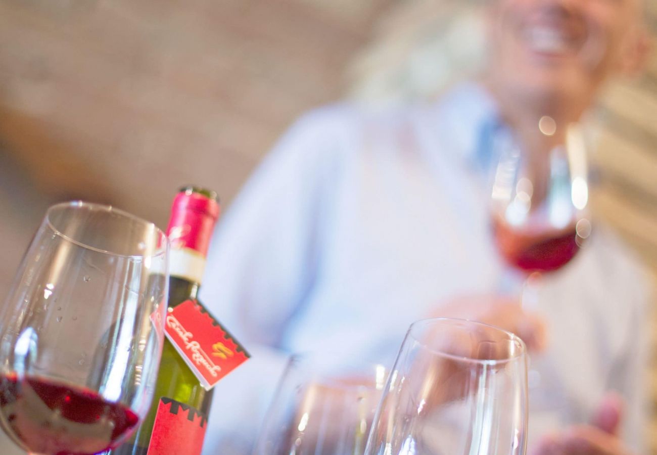 Apartment in Cinigiano - Villa Pozzolo Banfi Apartment in Cinigiano - Villa Pozzolo Banfi