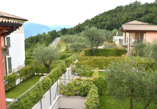 Apartment in Torri del Benaco - Residence alle Torri - 4 sleeps apartment in residence with pool  in  Albisano di Torri del Benaco Apartment in Torri del Benaco - Residence alle Torri - 4 sleeps apartment in residence with pool  in  Albisano di Torri del Benaco