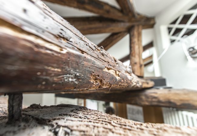 Apartment in Venice - Design District Apartment R&R Apartment in Venice - Design District Apartment R&R