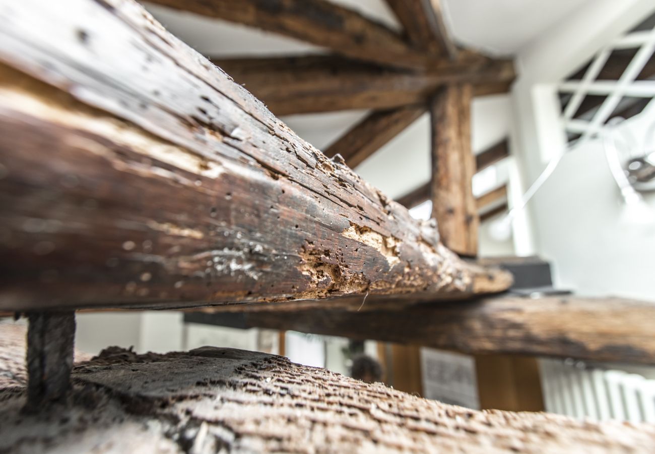 Apartment in Venice - Design District Apartment R&R Apartment in Venice - Design District Apartment R&R