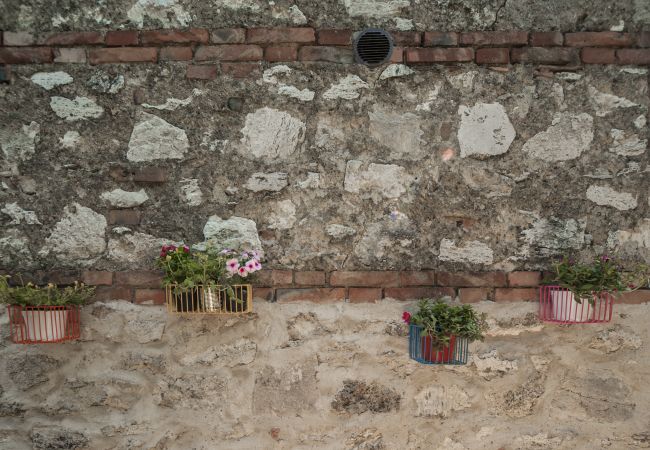 Apartment in Asciano - Podere Nuovo Mandorli Apartment in Asciano - Podere Nuovo Mandorli