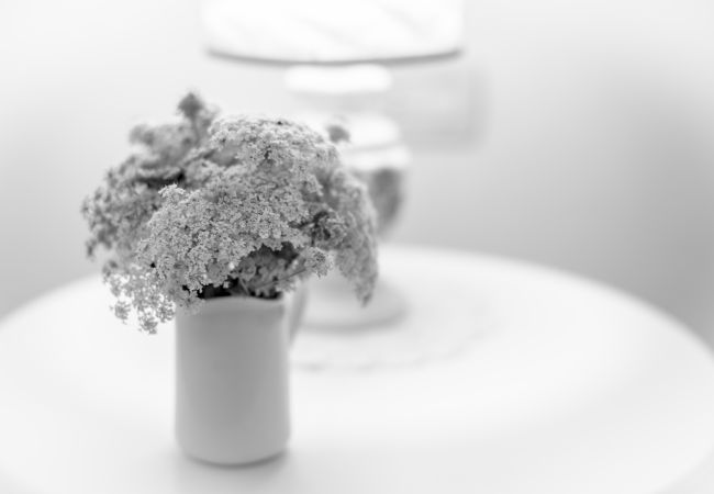 Apartment in Asciano - Podere Nuovo Mandorli Apartment in Asciano - Podere Nuovo Mandorli