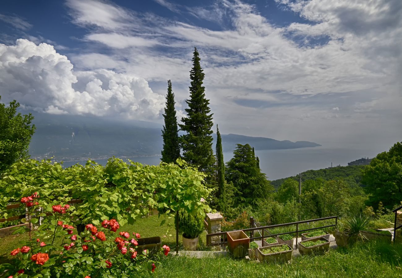 Apartment in Tignale - Casa mamma Gisella by Theater Home, with marvellous lake view