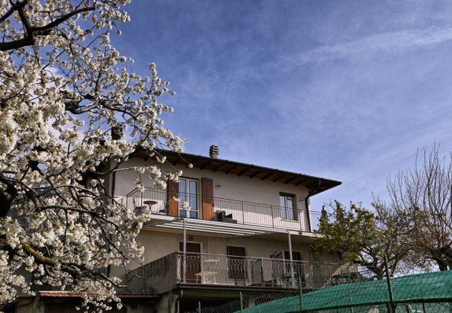 Apartment in Tignale - Appartamento Alba by Theater Home - with marvellous lake view Apartment in Tignale - Appartamento Alba by Theater Home - with marvellous lake view