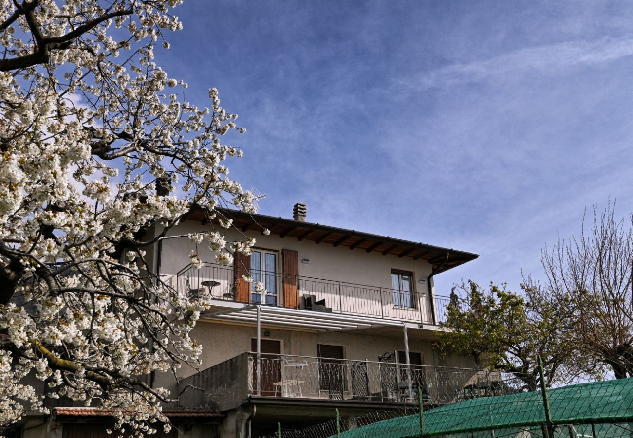 Apartment in Tignale - Appartamento Alba by Theater Home - with marvellous lake view Apartment in Tignale - Appartamento Alba by Theater Home - with marvellous lake view
